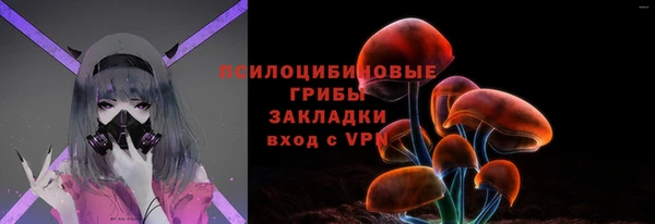 гашик Алексеевка