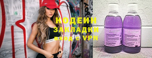 эйфоретик Покачи