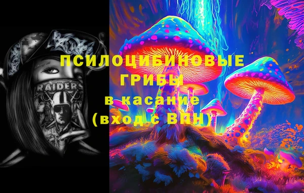 гашик Алексеевка