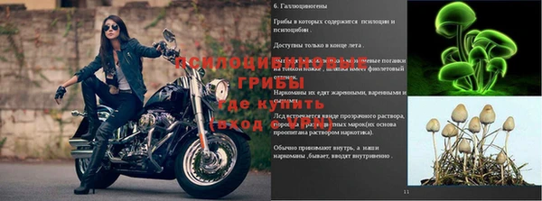 эйфоретик Покачи