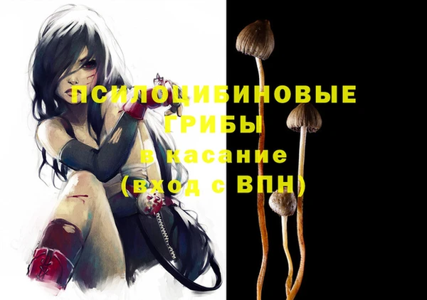 гашик Алексеевка
