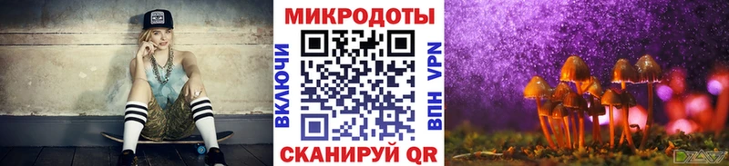 Галлюциногенные грибы Psilocybe где продают наркотики гидра Пенза