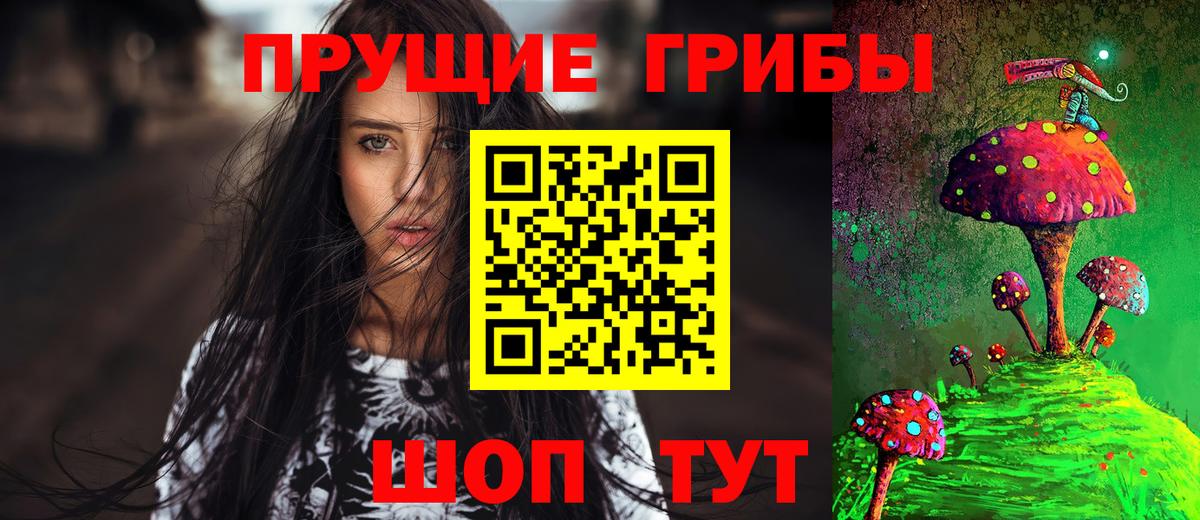 Пенза  Галлюциногенные грибы Psilocybine cubensis  Вход с VPN 