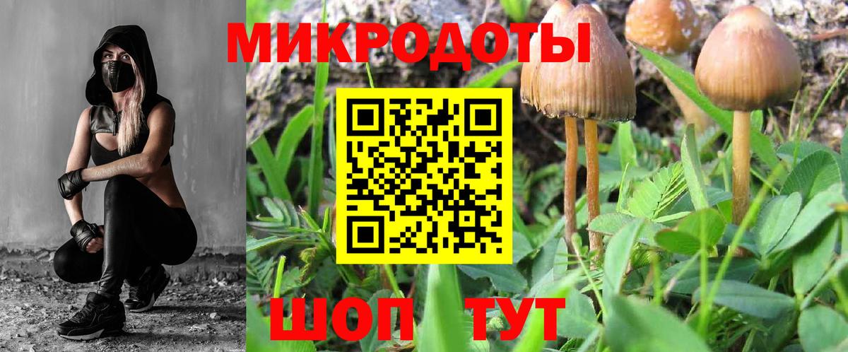 Галлюциногенные грибы прущие грибы Пенза